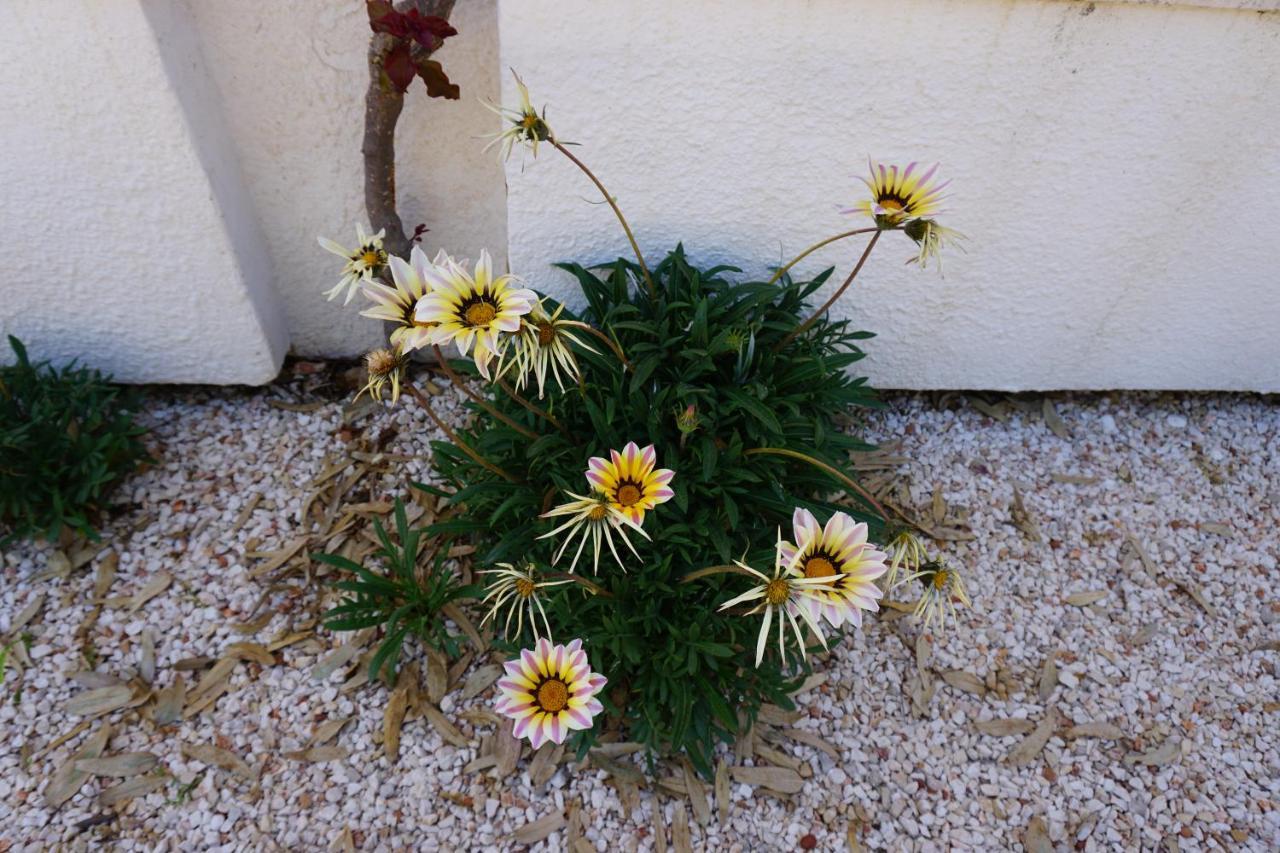 Bivilla Incalzi Villanova di Ostuni Exterior foto